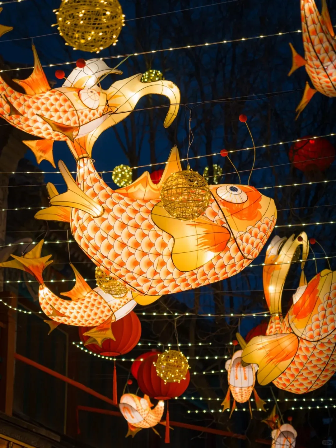 Large, ornate orange and yellow fish lanterns with scale patterns are suspended at night, accompanied by smaller red round lanterns, spherical golden lights, and numerous small white string lights against a dark, silhouetted tree background.