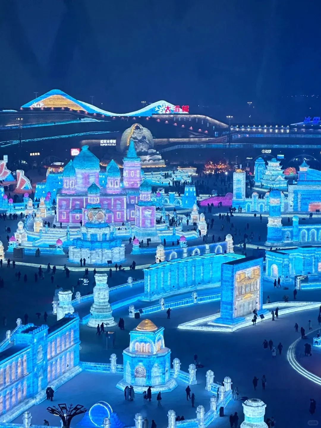 A high-angle view of the Harbin Ice and Snow World at night, showcasing a magnificent, multi-domed ice castle illuminated in vibrant purple and pink. Surrounding it are numerous other intricate ice structures, towers, and walls glowing with brilliant blue and white lights, creating a fantastical frozen city. A large illuminated ice Buddha sculpture is visible in the mid-ground, with distant snow-covered hills lit in blue and gold. Visitors can be seen strolling through the festive grounds, enjoying the Harbin Ice Festival.