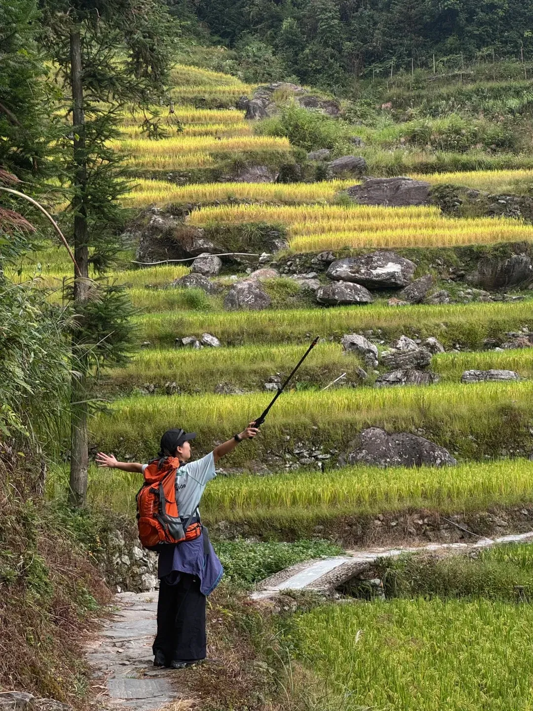 A joyful hiker with an orange backpack stands with arms outstretched on a narrow stone path, holding a selfie stick, amidst vibrant golden and green Longji rice terraces, with lush mountains in the background, showcasing the tranquil beauty without tour crowds.