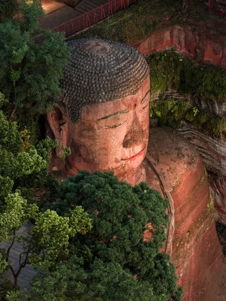 An aerial view of the majestic Leshan Giant Buddha, carved into a vibrant red sandstone cliff face. The colossal statue features a serene expression with closed eyes, a gentle smile, and dark, tightly coiled hair-like features, with a red urna on its forehead. Lush green trees partially obscure the lower portion of the statue, while a paved walkway with a red railing is visible in the upper left, alongside the moss-covered, layered rock of the cliff. This iconic Buddhist site is a major attraction near Chengdu, Sichuan, China.