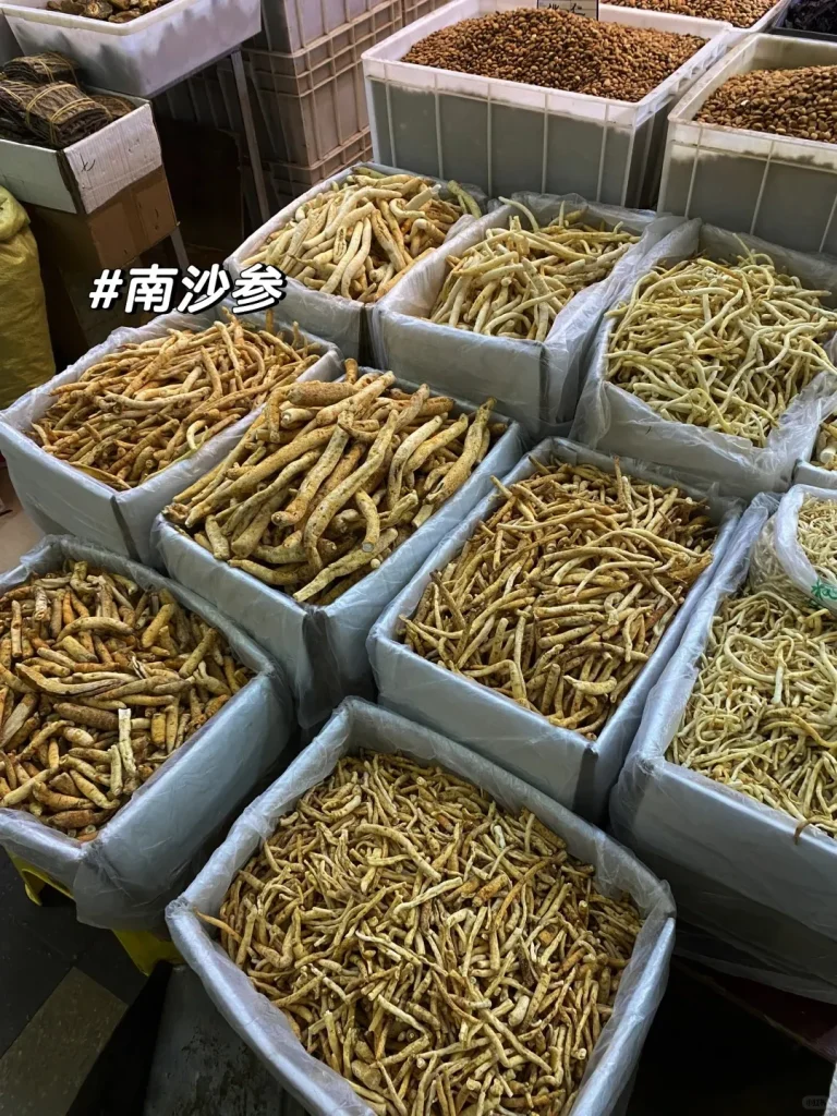 Large white bins overflowing with dried traditional Chinese medicine roots, including light brown Southern Adenophora Root (Nan Sha Shen) as indicated by the text overlay, displayed at a market in Chengdu. Other containers of various seeds are visible in the background.
