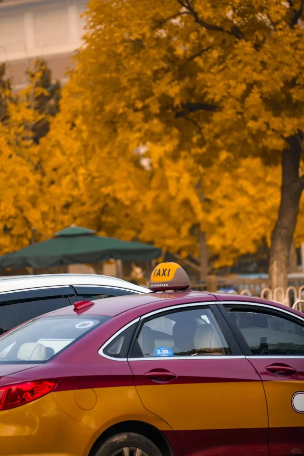Side view of a red and yellow taxi car with a 'TAXI' sign on its roof, parked on a street. Behind it, a green umbrella and numerous trees with vibrant yellow and orange autumn foliage are visible.