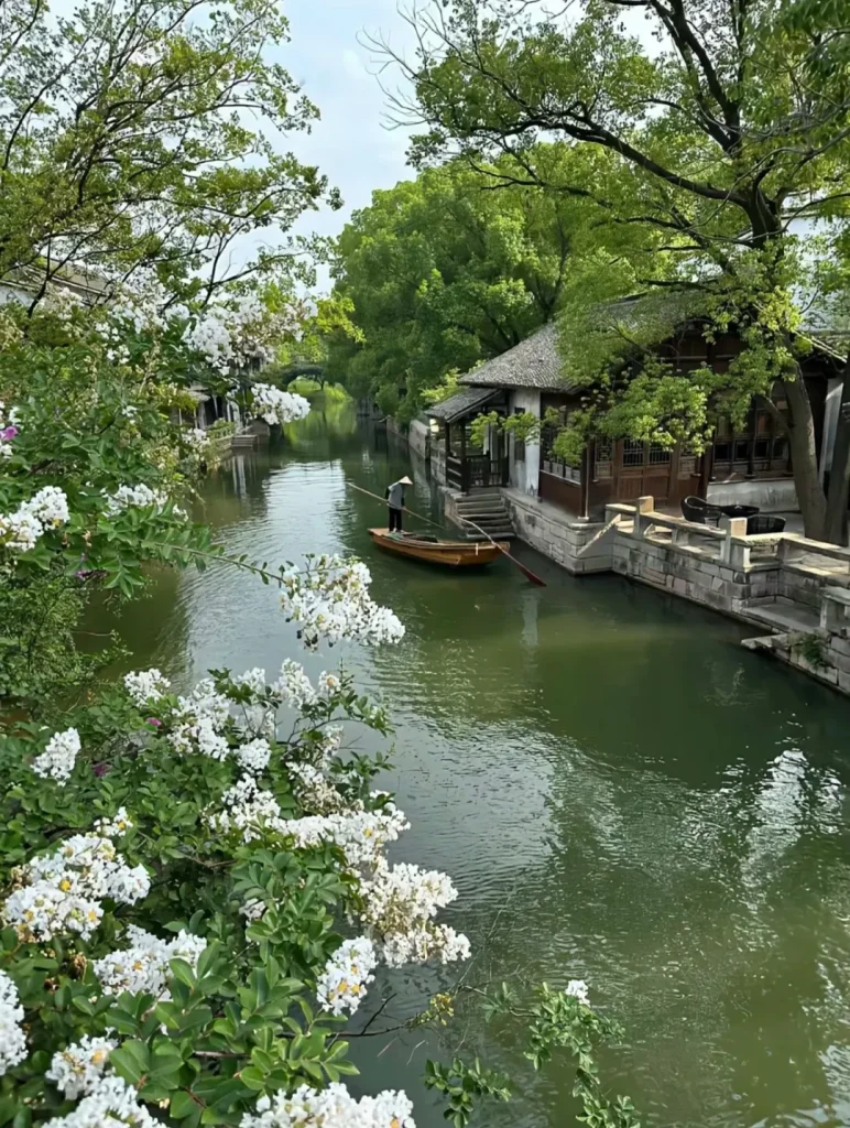 A traditional wooden boat with a person in a straw hat glides down a narrow green canal, flanked by historic Chinese buildings with dark roofs and lush trees. White flowering bushes bloom prominently in the foreground and along the left bank, with an arched stone bridge in the distance.