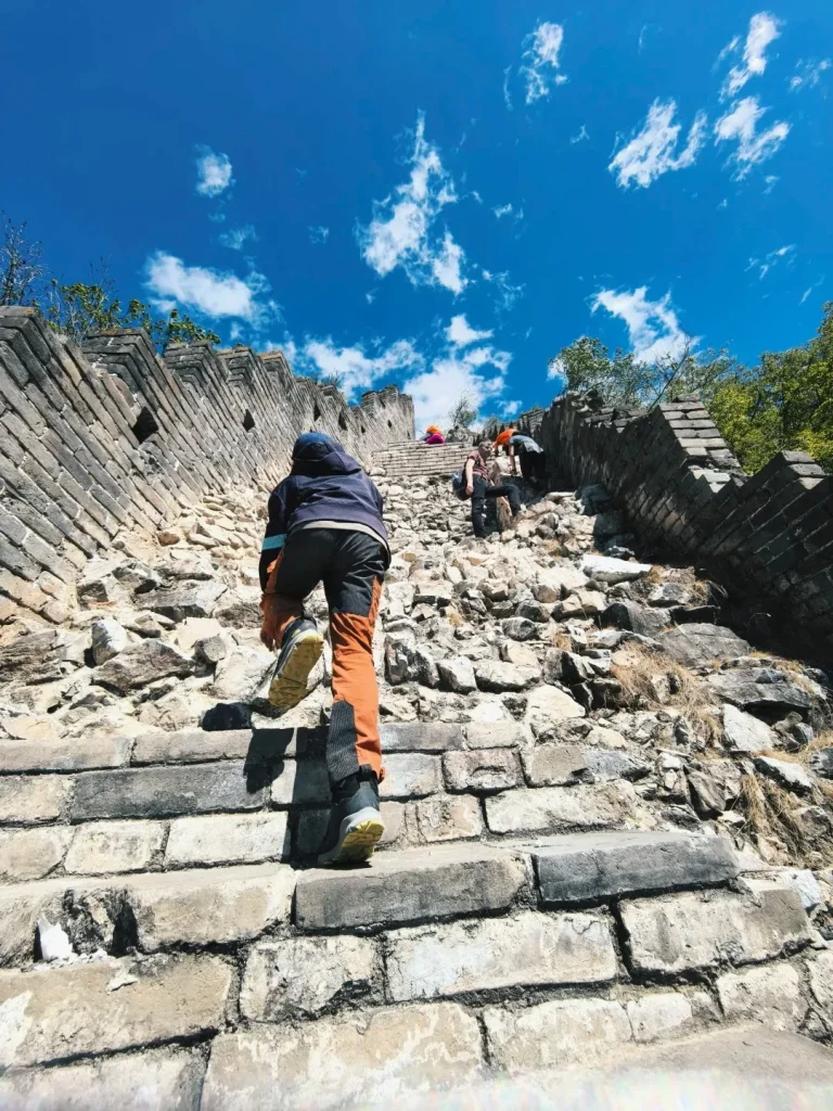 A person wearing a blue hooded jacket and orange hiking pants climbs very steep, uneven stone steps on a dilapidated section of the Great Wall. Other hikers are visible further up the crumbling path under a bright blue sky with scattered white clouds. Sparse green trees and bushes grow alongside the ancient stone wall.
