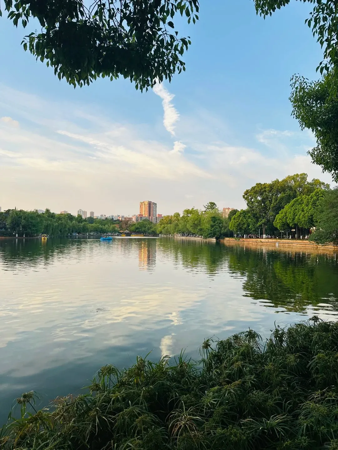A wide shot of Green Lake Park in Kunming during late afternoon. The foreground shows dense green bushes. The calm lake surface reflects the blue sky with white clouds, a long contrail, and distant city buildings. Several small paddle boats are on the water. The far bank features lush trees, a promenade with people walking, and behind it, a city skyline with one tall building illuminated by warm sunlight.