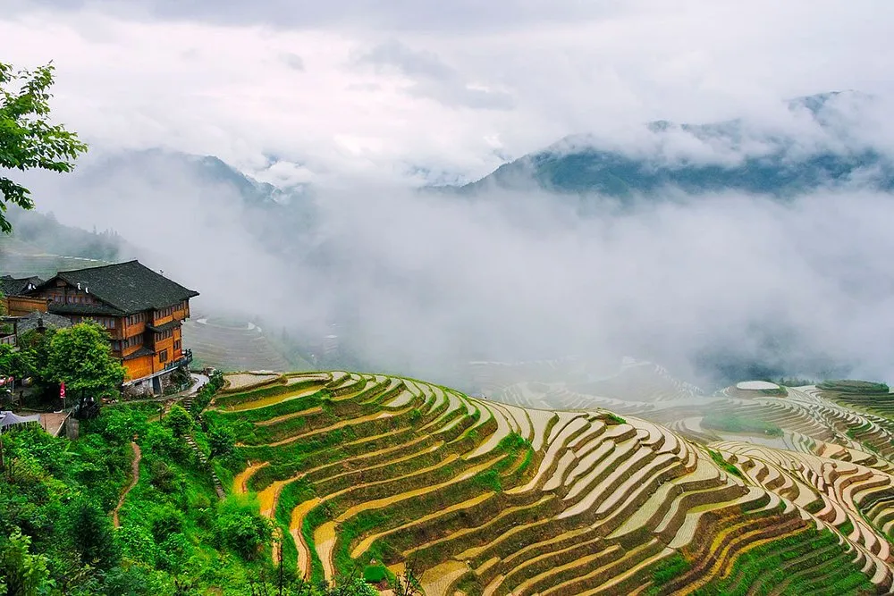 A multi-story traditional wooden lodge with a dark roof on a verdant hillside overlooking expansive terraced rice fields with water. Misty green mountains rise in the background under a cloudy sky.