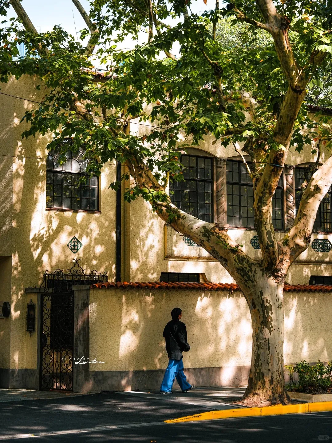 A pedestrian in a dark jacket and blue pants walks on a sunny sidewalk next to a cream-colored building with a black ornate gate. A large tree with green leaves and a mottled trunk stands prominently in the foreground, casting dappled shadows on the building and sidewalk. The building has dark-framed windows and a low wall topped with terracotta tiles.