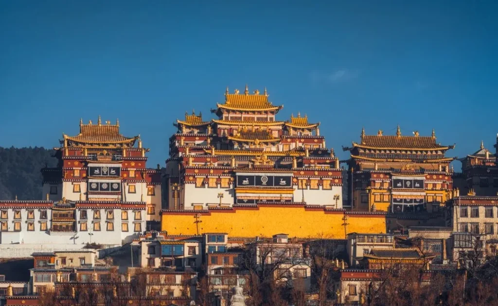 The grand Songzanlin Monastery in Shangri-La, with its golden roofs and tiered white and red buildings, sits on a hillside. Below it are smaller structures and a line of bare trees bordering Lamuyangcuo Lake. The entire scene, including the monastery and buildings, is sharply reflected in the calm lake water under a clear blue sky.