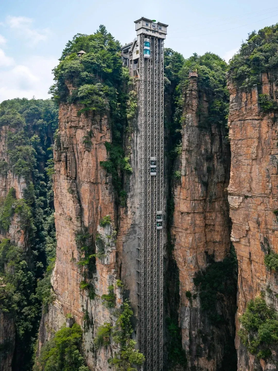 A very tall outdoor glass elevator, the Bailong Elevator, is built into a sheer reddish-brown rock cliff in Zhangjiajie National Forest Park. Multiple glass elevator cars are visible within its metal structure, surrounded by towering, tree-covered quartz sandstone pillars under a blue sky.