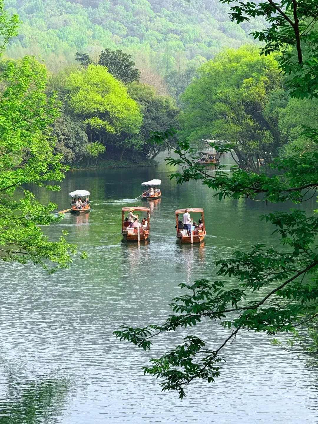 Multiple wooden tour boats with white canopies carrying passengers on a calm green lake, framed by bright green tree branches in the foreground and surrounded by lush green forests on distant hills.