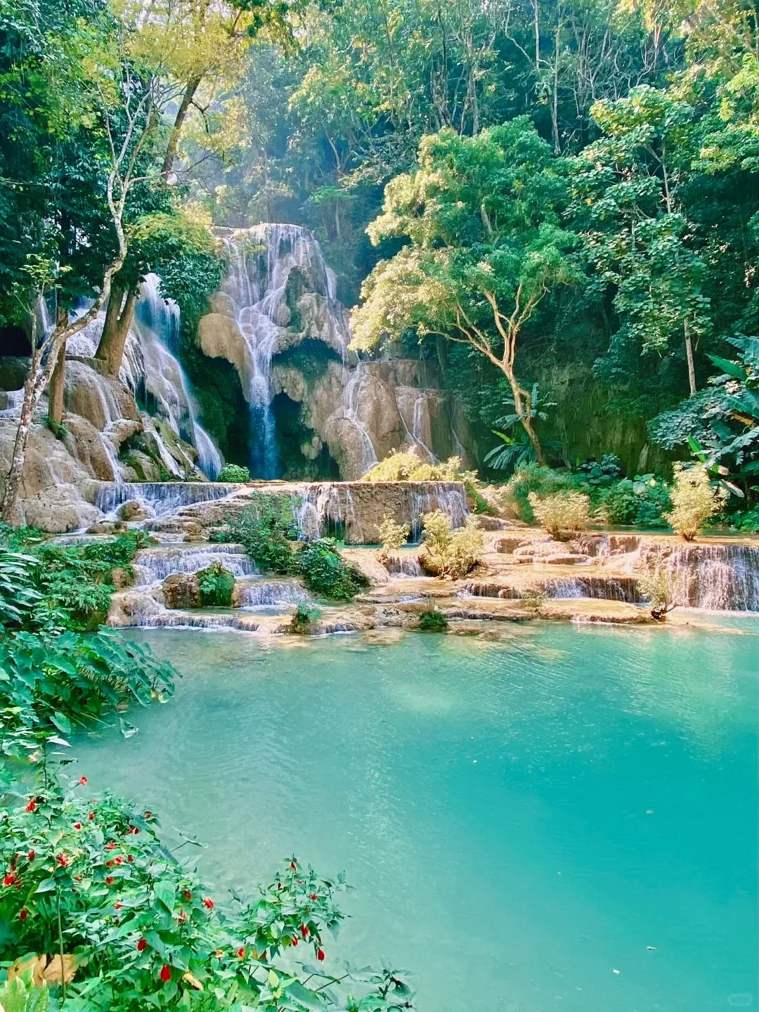 Kuang Si Waterfalls in Luang Prabang, Laos, showing multiple tiers of vibrant turquoise water cascading over light-colored limestone rocks into a clear pool. Lush green jungle trees and dense tropical foliage surround the falls, with red flowers visible in the bottom left foreground.
