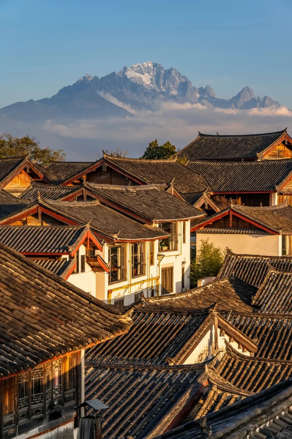 An aerial view of traditional dark tiled rooftops and red wooden eaves in Lijiang Old Town, with the snow-capped peaks of Jade Dragon Snow Mountain rising majestically in the misty background under a clear blue sky.