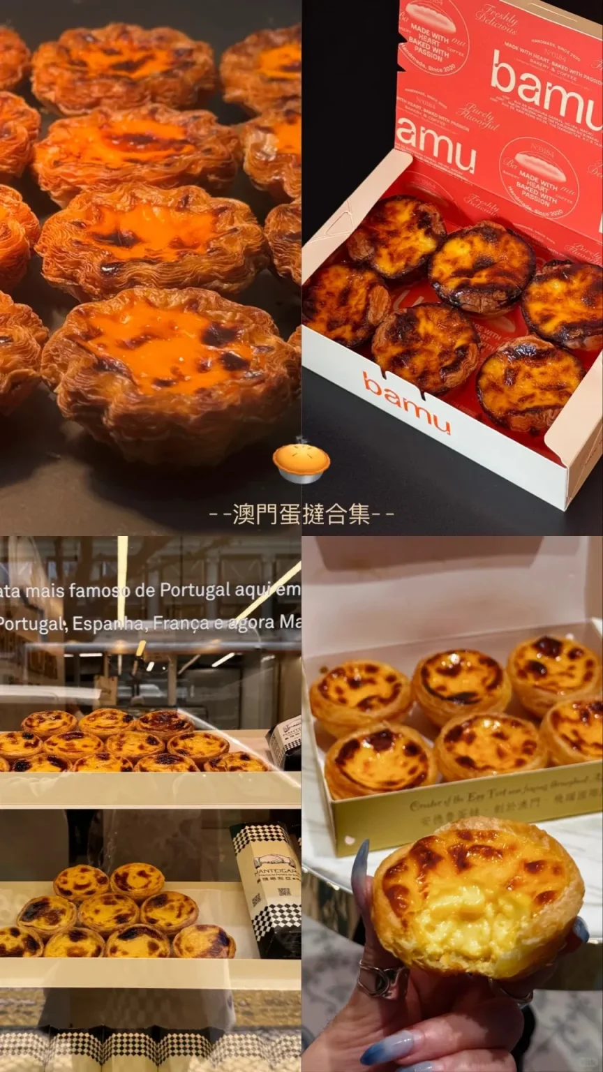 A collage of Portuguese egg tarts (Pastéis de Nata) in various settings. It features a close-up of many tarts with dark caramelized tops, tarts packaged in branded bakery boxes (including 'Bamu'), tarts displayed in a bakery case, and a hand holding a bitten tart revealing its creamy custard filling.