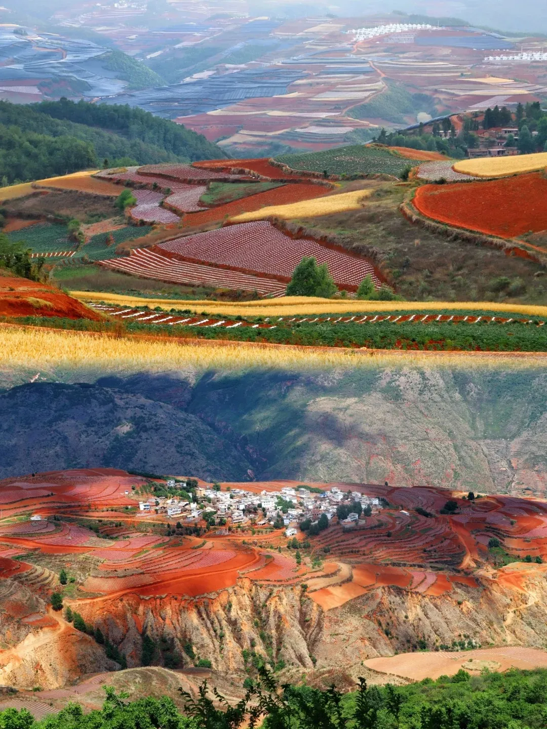 A panoramic landscape of China's Dongchuan Red Land, showcasing vast terraced fields in vibrant red, green, and golden yellow. A village with white-roofed houses sits amidst the red fields, overlooking a deep, eroded valley with distant mountains.