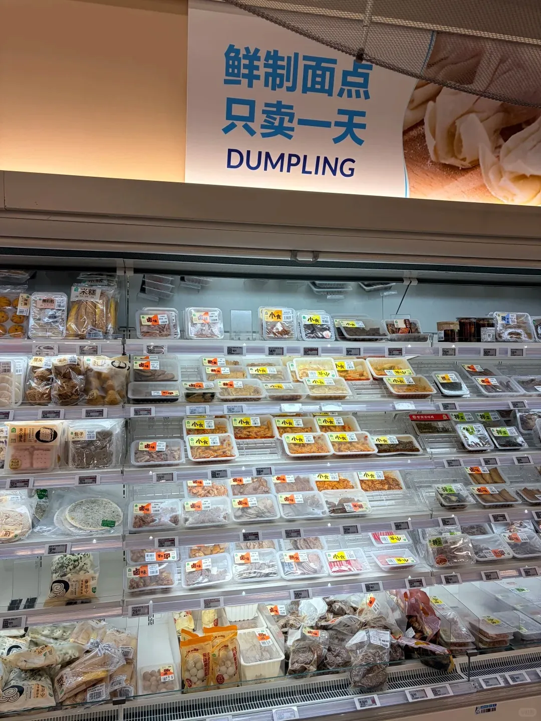 A wide refrigerated display shelf in a Hema Freshippo supermarket filled with hundreds of clear plastic containers of pre-packaged freshly made dumplings, buns, and small Asian dishes. A prominent white sign with blue text above the shelf reads '鲜制面点 只卖一天' (Freshly Made Dim Sum Only Sold For One Day) in Chinese, with 'DUMPLING' in English below it.