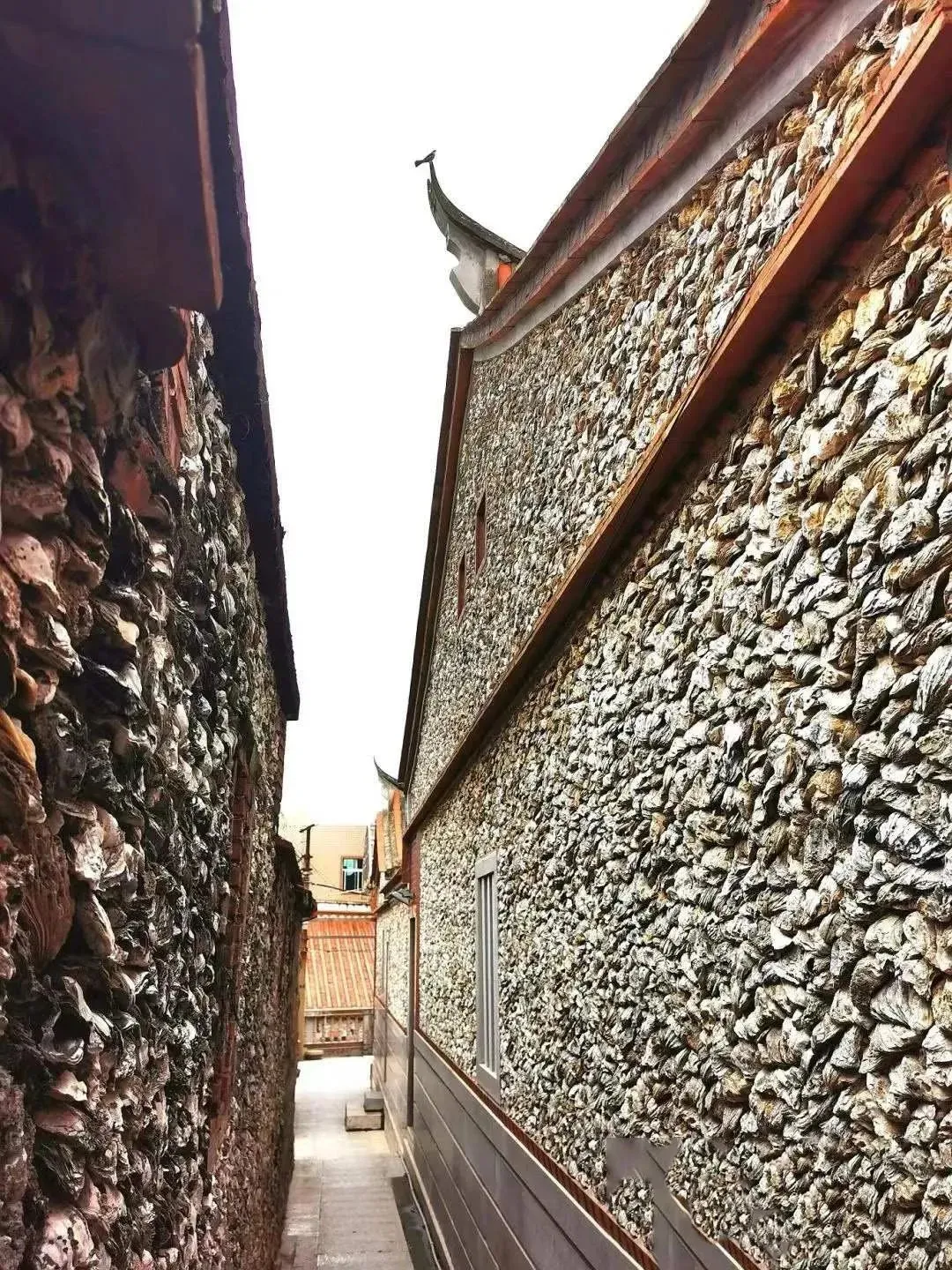 A narrow alleyway between two traditional buildings in Xunpu village, Quanzhou. The walls of both buildings are distinctively textured and built entirely from countless overlapping oyster shells, creating a unique pattern. A traditional curved Chinese roofline is visible on the building to the right, against a bright sky.