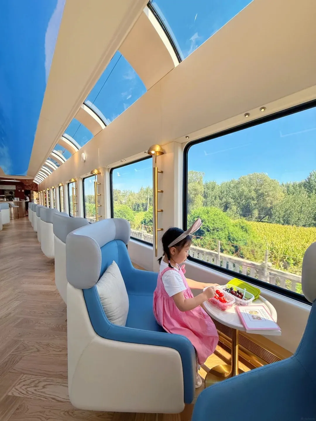 A young girl with bunny ears in a pink dress sits in a blue and cream upholstered train seat. She is reaching for fruit in a clear plastic container on a round white table. A book is also on the table. The train carriage has large windows showing a green, rural landscape and a glass ceiling revealing a blue sky with clouds. Other empty seats are visible in the background.