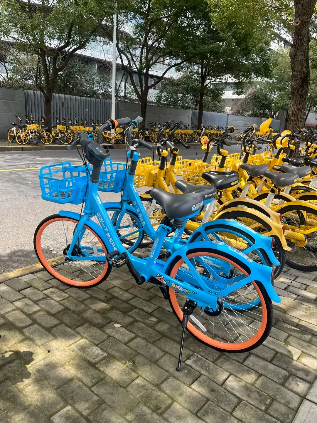 Multiple rows of shared bicycles parked neatly on a grey paver sidewalk. In the foreground are light blue Hellobikes with orange wheel rims and front baskets. Behind them and extending into the distance are many bright yellow Meituan shared bikes with baskets. Green trees and urban buildings line the background.