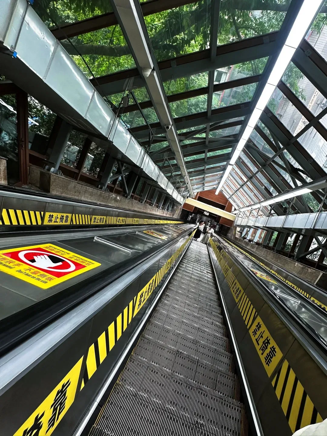A very long, covered public escalator extending upwards, with a transparent glass roof revealing green tree foliage and sky above. The escalator's black side panels feature prominent yellow diagonal warning stripes, and a red circular sign with a white hand symbol and Chinese/English text 'Don't March on the side' is visible on the left. A few people are indistinctly visible further up the escalator.