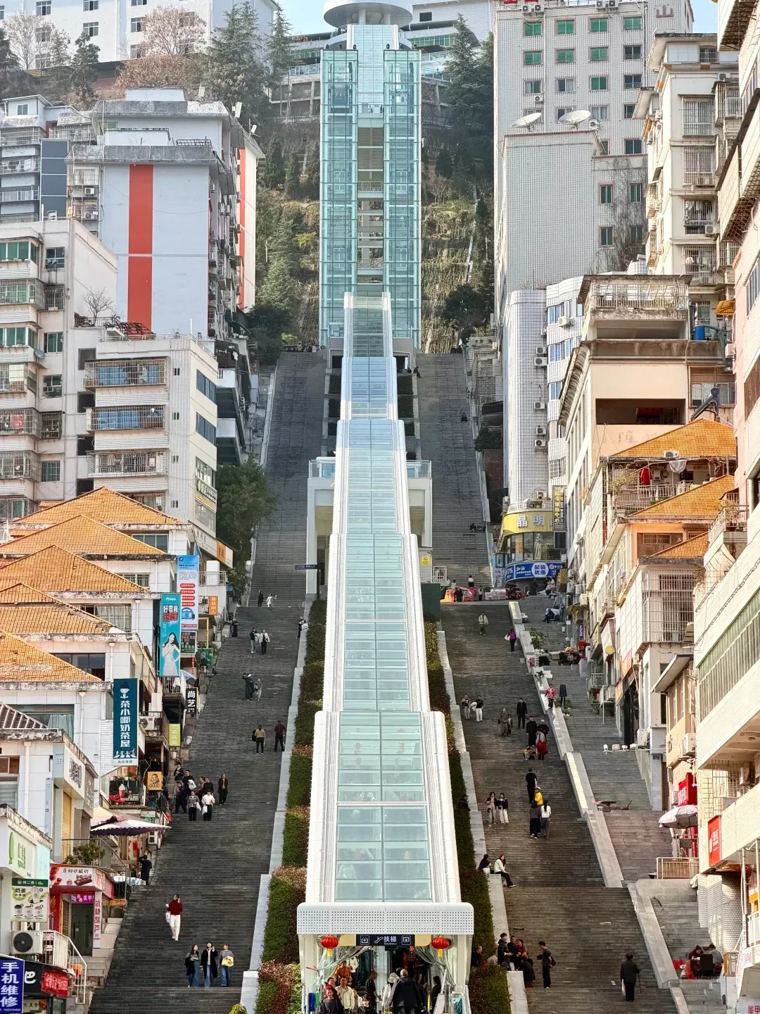 A long, multi-tiered outdoor glass-enclosed escalator and a tall glass elevator shaft ascending a steep urban hillside in Chongqing, flanked by wide concrete stairs. Dense residential and commercial buildings are built into the slopes on both sides, with numerous people using the stairs and escalators.