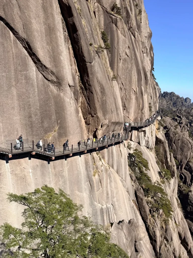 A long, narrow wooden walkway with metal railings built into the side of a steep, textured grey mountain cliff. Numerous hikers are walking along the path, which extends into the distance. A large green tree is in the foreground, and distant jagged peaks are visible against a clear blue sky.