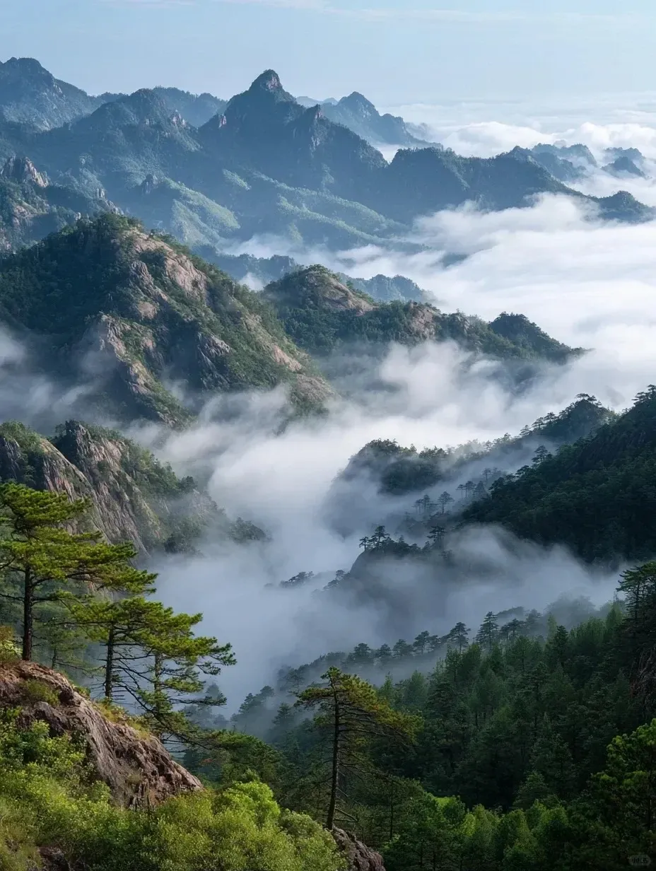 Layered green mountains and valleys filled with a thick sea of white clouds and mist. Jagged peaks rise above the mist, and gnarled pine trees are visible on rocky slopes in the foreground and midground.