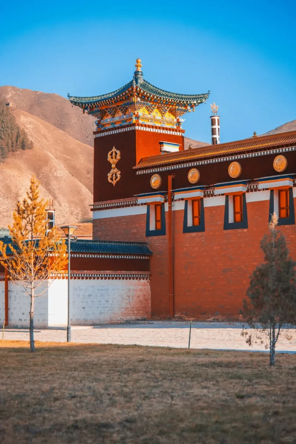 A prominent building of Labrang Monastery featuring deep red walls, a multi-tiered roof with ornate golden and blue tiles, and a large golden double vajra symbol on its facade. Barren mountains rise in the background under a clear blue sky, with dry grass and a small tree in the foreground.