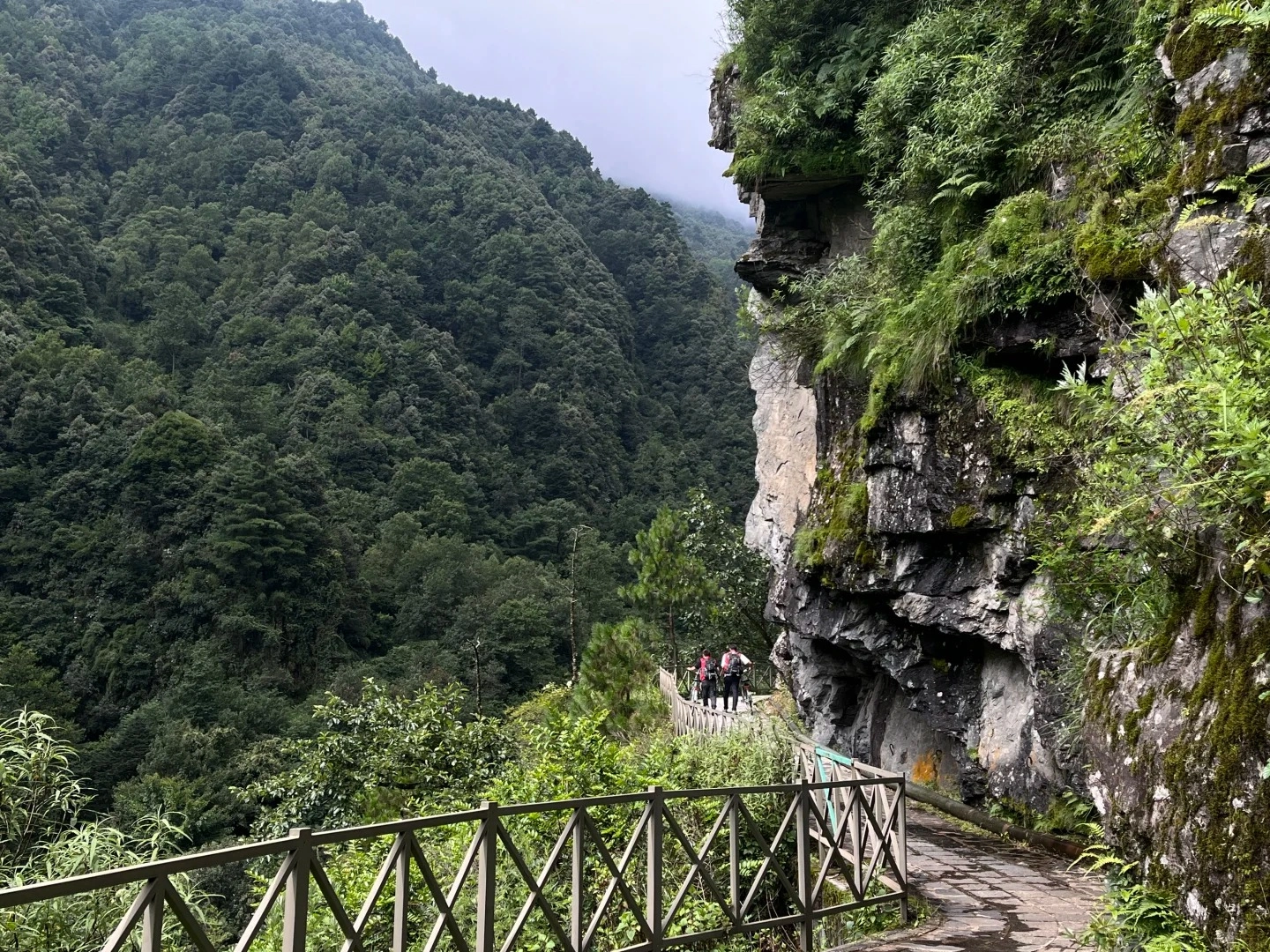 A paved pathway with a wooden guardrail runs along the side of a steep, moss-covered rock cliff. Three hikers are walking on the pathway in the distance. The pathway leads through a lush, green mountainous landscape with dense trees covering the slopes of a valley.