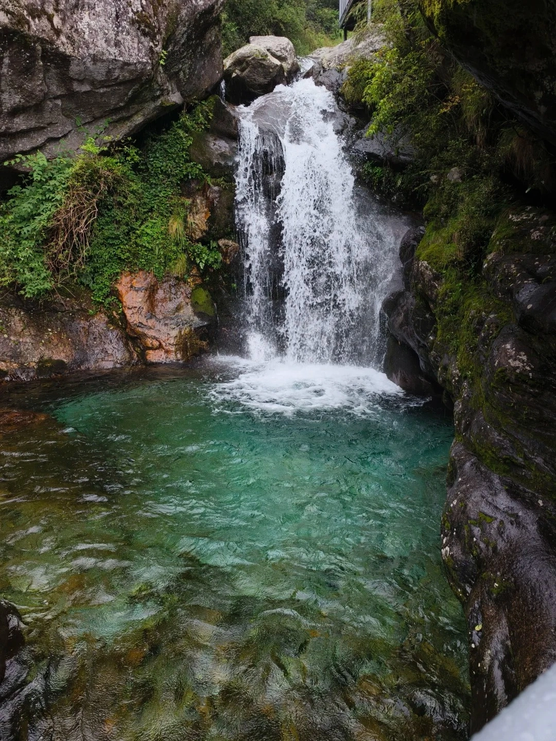 A cascading waterfall plunges into a clear, turquoise pool surrounded by moss-covered rocks and lush green vegetation.