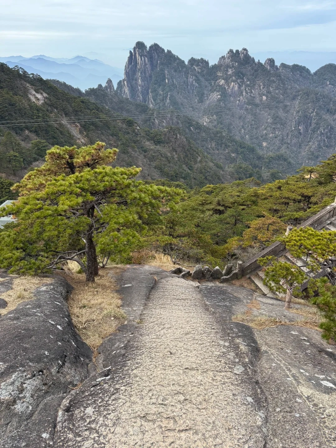 A weathered, textured stone pathway descends steeply between large, dark gray rocks covered with patches of dry grass. A gnarled pine tree with vibrant green needles stands to the left of the path. In the background, rolling green hills covered with dense trees recede into the distance, topped by jagged, mist-shrouded granite peaks.