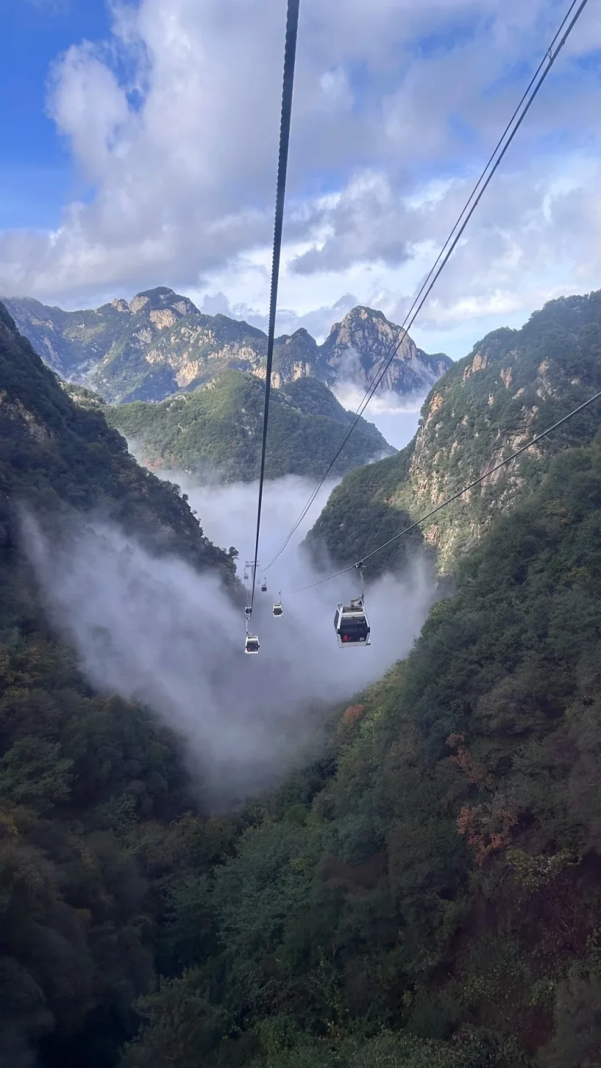 Several white cable cars ascend on thick cables over a misty, forested mountain valley with rugged peaks in the background under a cloudy blue sky.