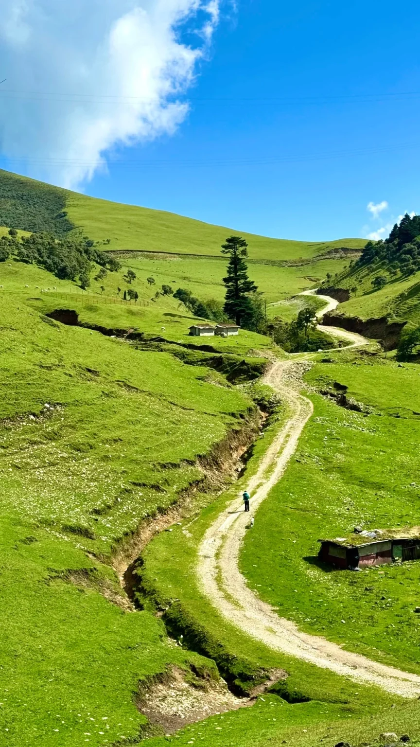 A person wearing a blue jacket and white pants walks a dog on a winding dirt road through a lush green valley under a bright blue sky with some white clouds. The road is flanked by steep grassy slopes, with a small, weathered building with a green roof visible on the right side of the road.