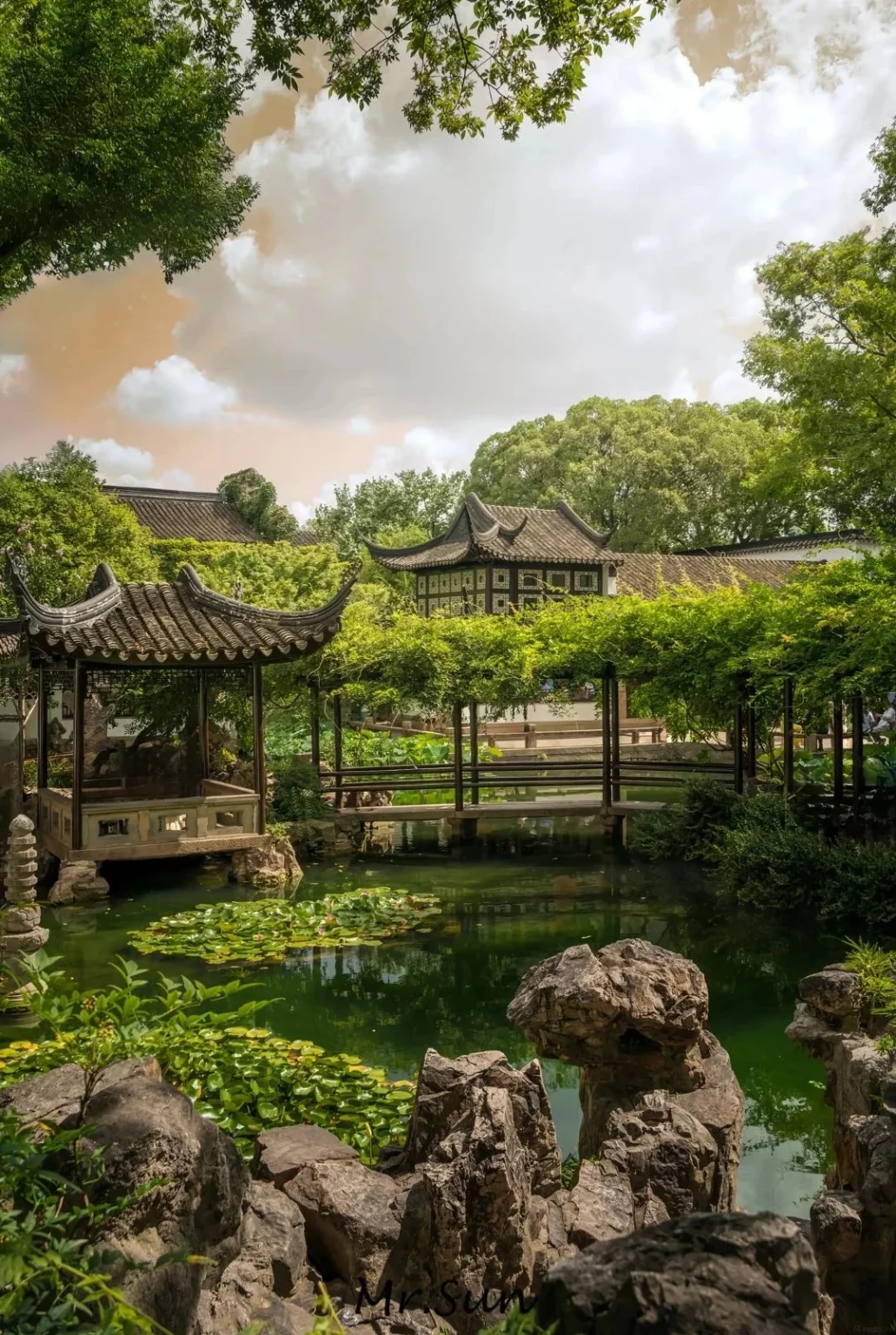 A tranquil pond with lily pads and lush green water in a Chinese garden. In the foreground, large grey rocks are partially submerged. Across the pond, a wooden bridge connects two sides, with traditional Chinese pavilions featuring dark tiled roofs and intricate designs visible on either side. The background is filled with dense green trees and a cloudy sky.