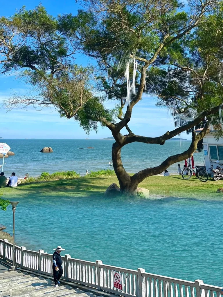 A large tree with hanging white ribbons stands on a grassy area overlooking the ocean. In the foreground, a paved walkway with a white railing follows a bright blue body of water. A person wearing a hat and dark clothing walks on the walkway.