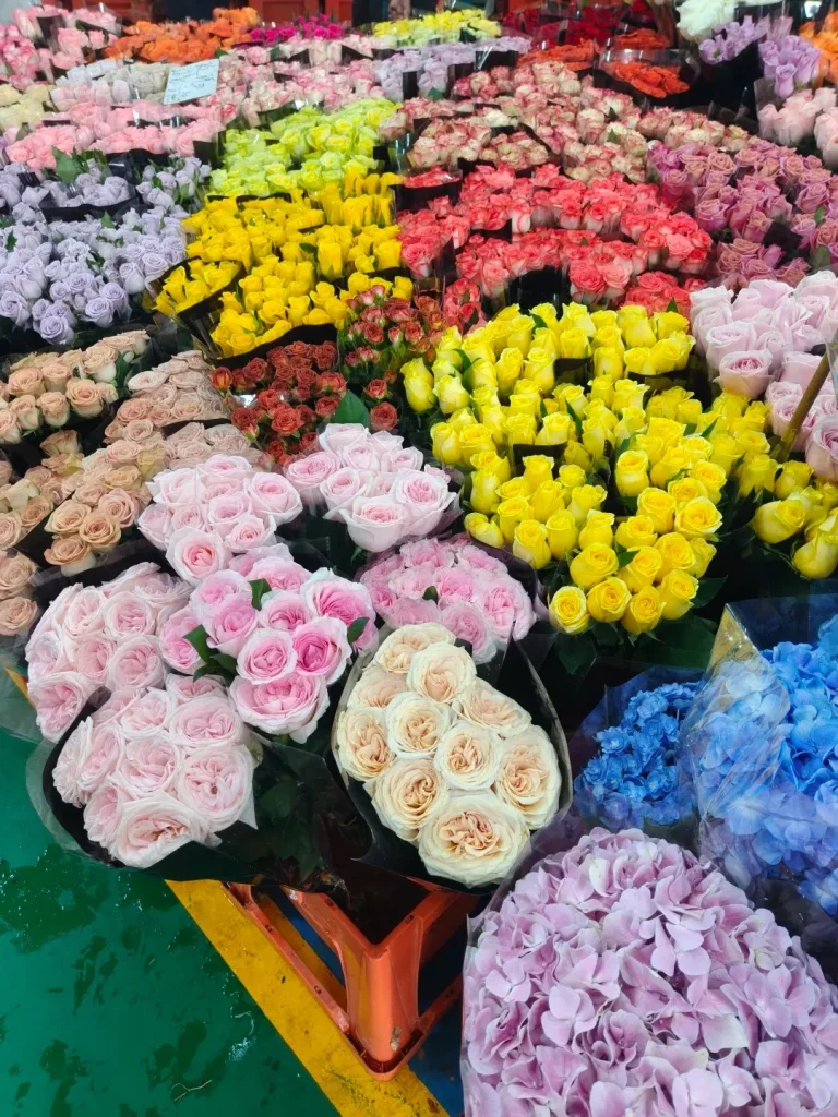 A vibrant, overhead view of numerous bouquets of flowers for sale at a market. In the foreground, there are large bunches of light pink roses, pale peach roses, and light purple hydrangeas. Behind these, a wide array of colorful roses are visible in various shades of yellow, pink, red, and lavender, many wrapped in clear plastic. The flowers are densely packed together, creating a visually rich tapestry of color.