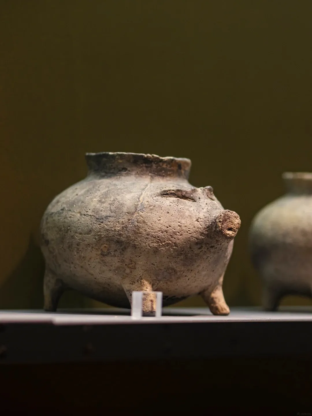 A close-up, eye-level view of a weathered, terracotta pig-shaped vessel with three legs and a snout, resting on a dark shelf in a museum. The vessel is a light brown-gray color with visible texture and age. A small, clear acrylic stand supports one of the legs. The background is a muted olive-green.