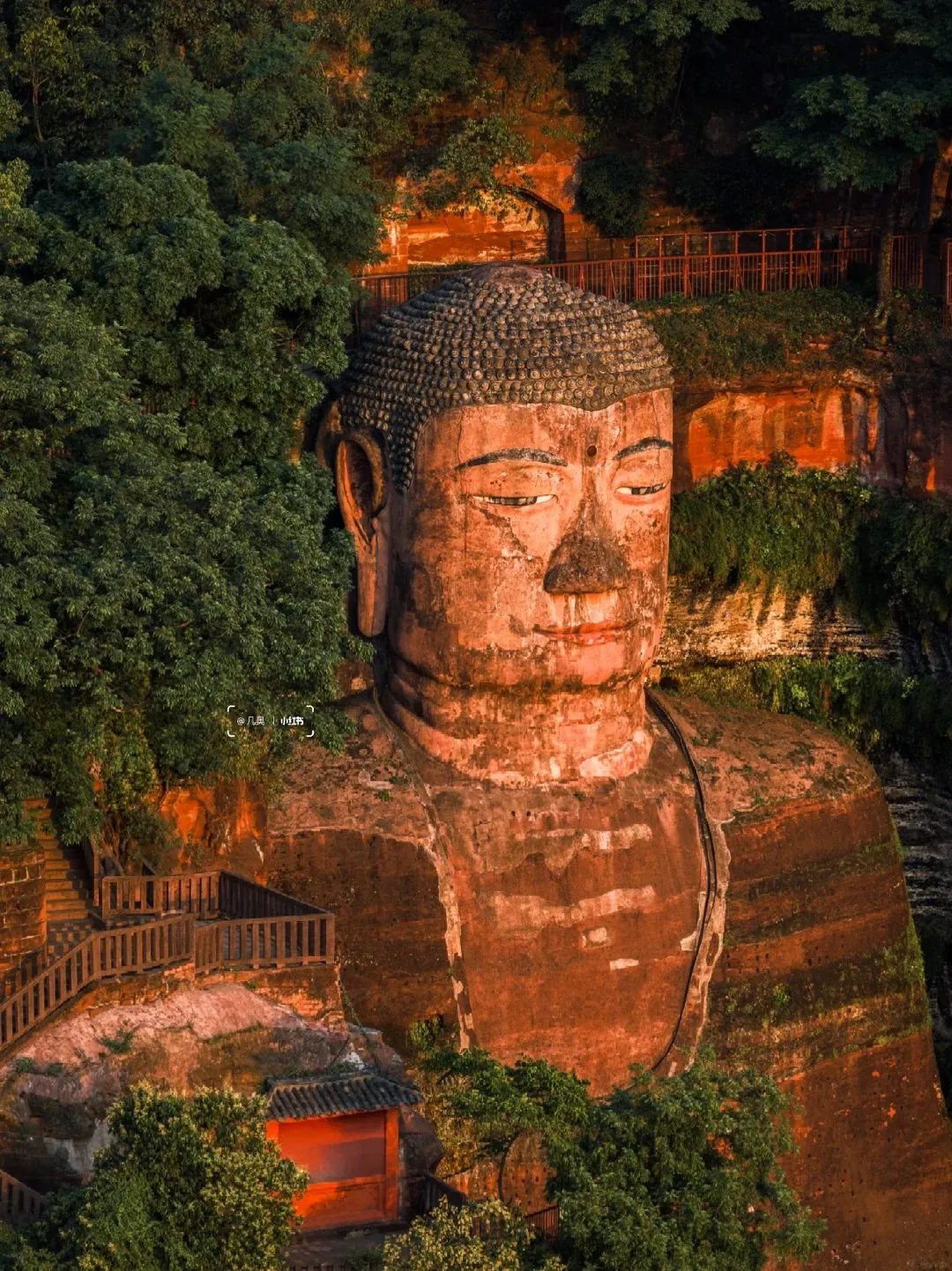 A colossal statue of Buddha carved into a red sandstone cliff face, seen from a slightly elevated perspective looking up. The Buddha's head, with its detailed hair curls and serene expression, dominates the upper portion of the image. Lush green trees frame the left side and foreground, while stairs with wooden railings ascend the cliff to the left of the statue. A small building with a dark roof and an orange-red facade is visible at the base of the stairs. The background shows the rugged, orange-red rock face of the cliff with some vegetation clinging to it and a wooden railing system.