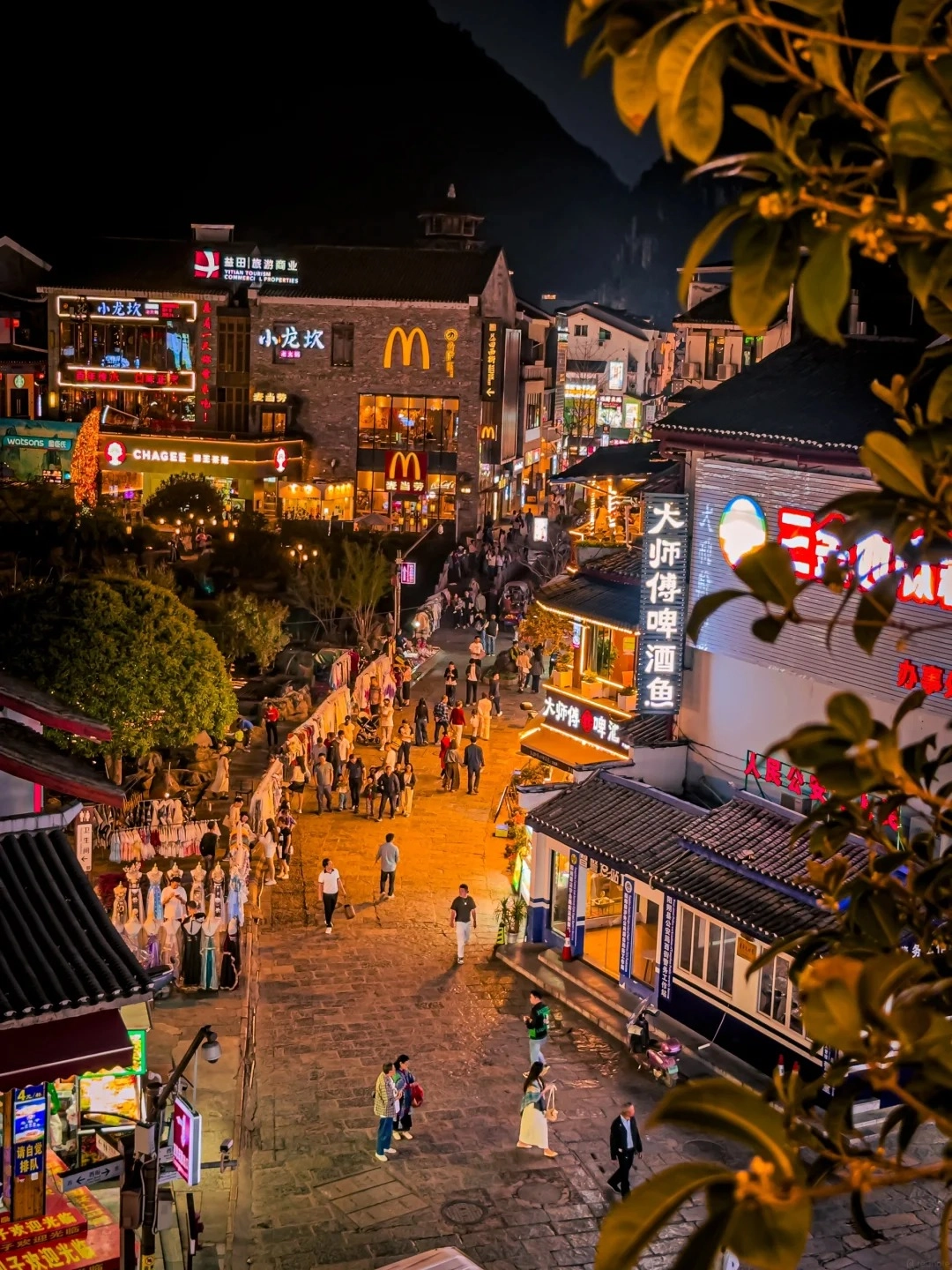 A busy, narrow street in Guilin at night, illuminated by neon signs and warm lights from shops and food stalls. People are walking and shopping along the cobblestone path. Buildings on either side are adorned with glowing signs, including a prominent McDonald's logo. Lush green foliage with yellow flowers is visible in the foreground, partially obscuring the view.