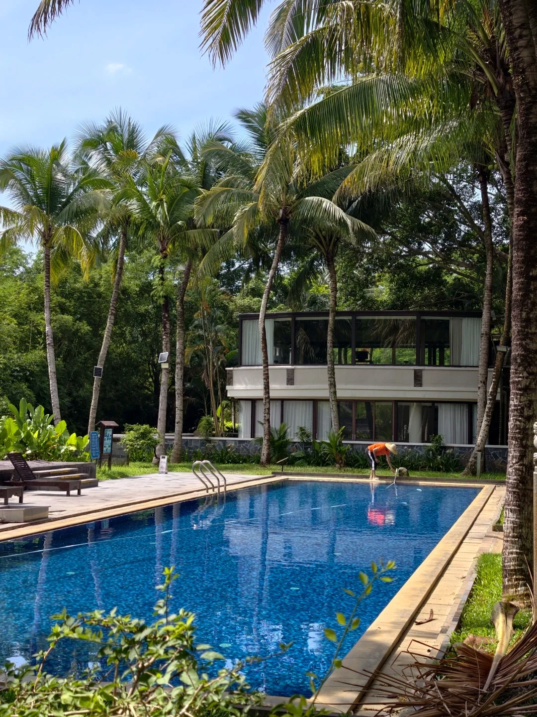 An outdoor swimming pool with bright blue water, surrounded by a stone deck and lush green palm trees. A modern, multi-story building with large windows is visible in the background, and a person in an orange shirt is cleaning the pool.