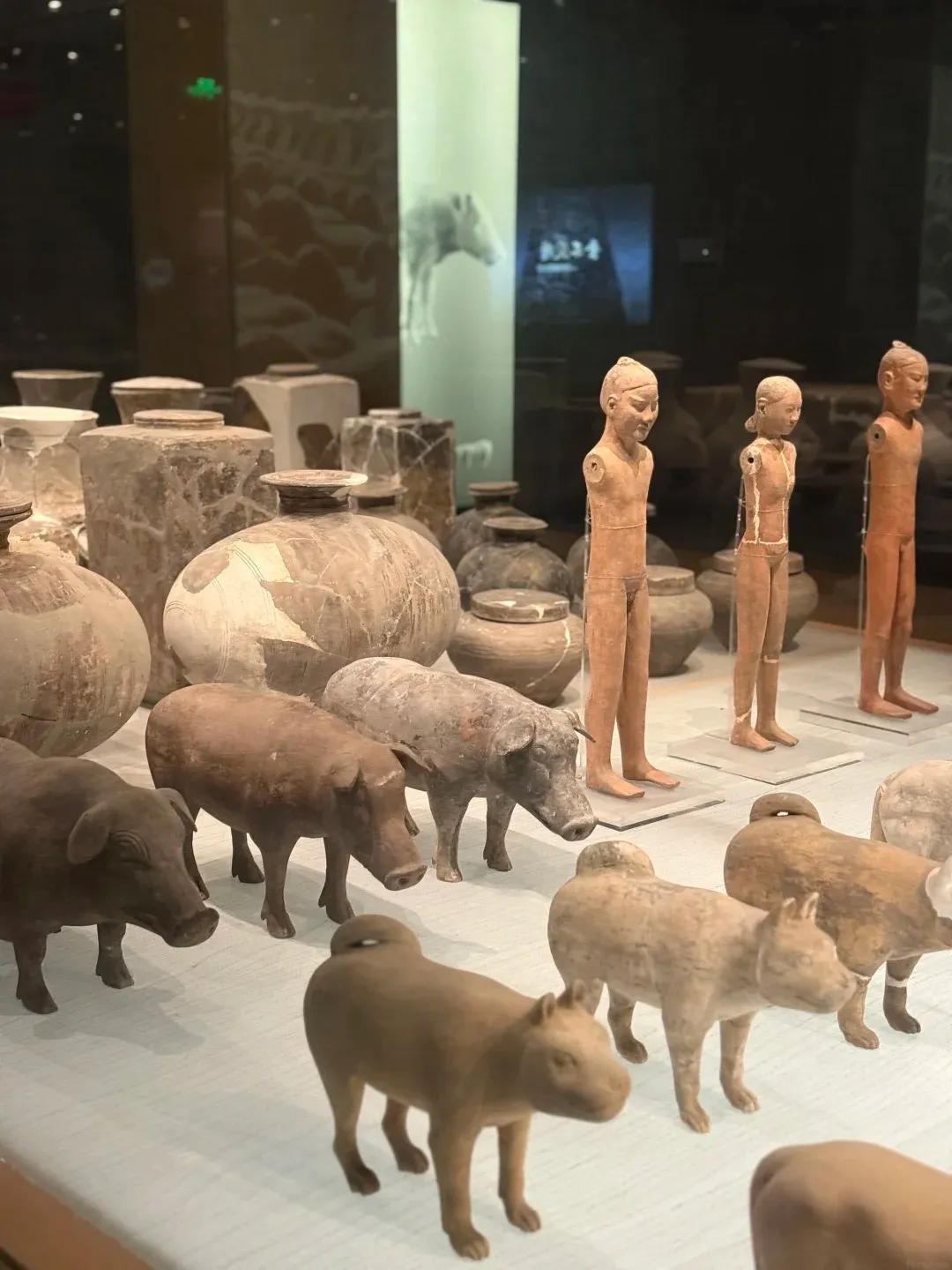 A museum display of Han Dynasty terracotta figures, including several pigs, dogs, and human figures. In the background, large pottery vessels are visible.