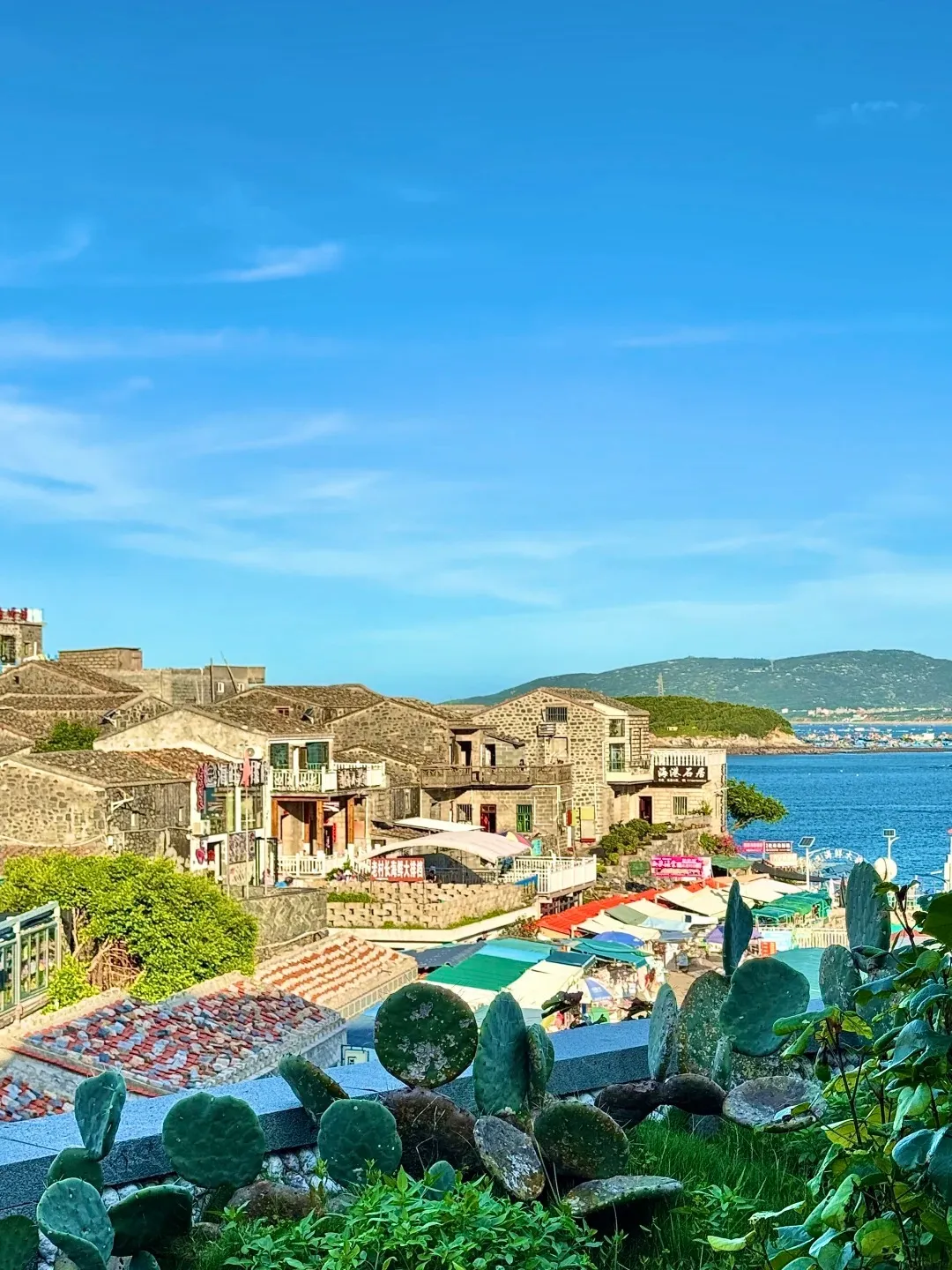 A high-angle view of Beigang Village on Pingtan Island, featuring traditional stone houses with tiled roofs, overlooking a vibrant blue ocean and a distant green hillside. In the foreground, prickly pear cactus pads and green foliage are visible against a stone wall. Below the houses, a marketplace with colorful awnings and stalls is set up along the waterfront.