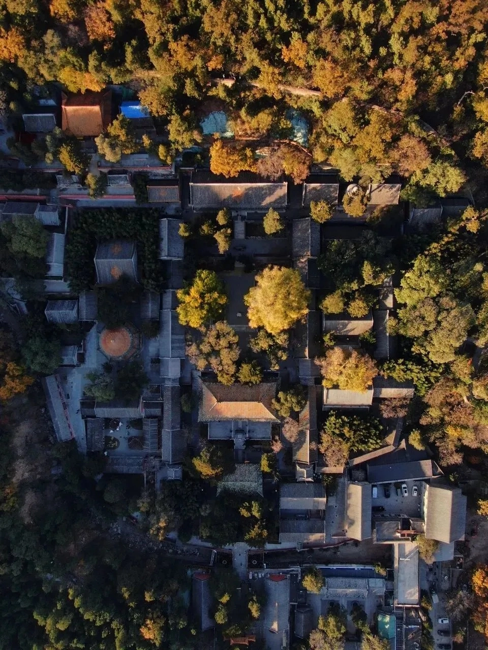 An aerial, top-down view of Tanzhe Temple complex in Beijing, surrounded by trees with autumn foliage in shades of yellow and orange. The image shows the intricate layout of traditional temple buildings with grey tiled roofs, courtyards, and pathways, nestled within a dense forest.