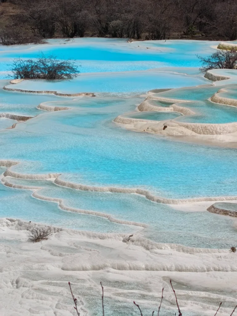 Cascading travertine terraces filled with vibrant turquoise water, surrounded by bare trees and white mineral deposits.