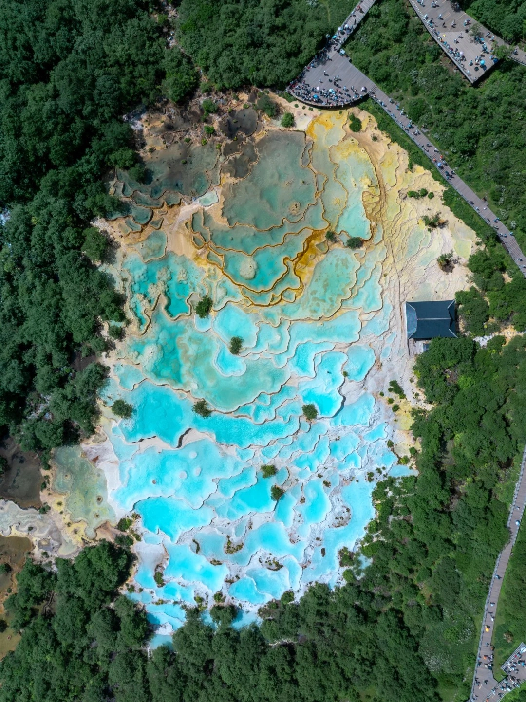 Aerial view of Huanglong's travertine terraces, showing a series of vibrant turquoise and yellow pools formed by mineral deposits, surrounded by lush green forests. Wooden walkways with tourists are visible along the edges of the terraces and leading up a hill.