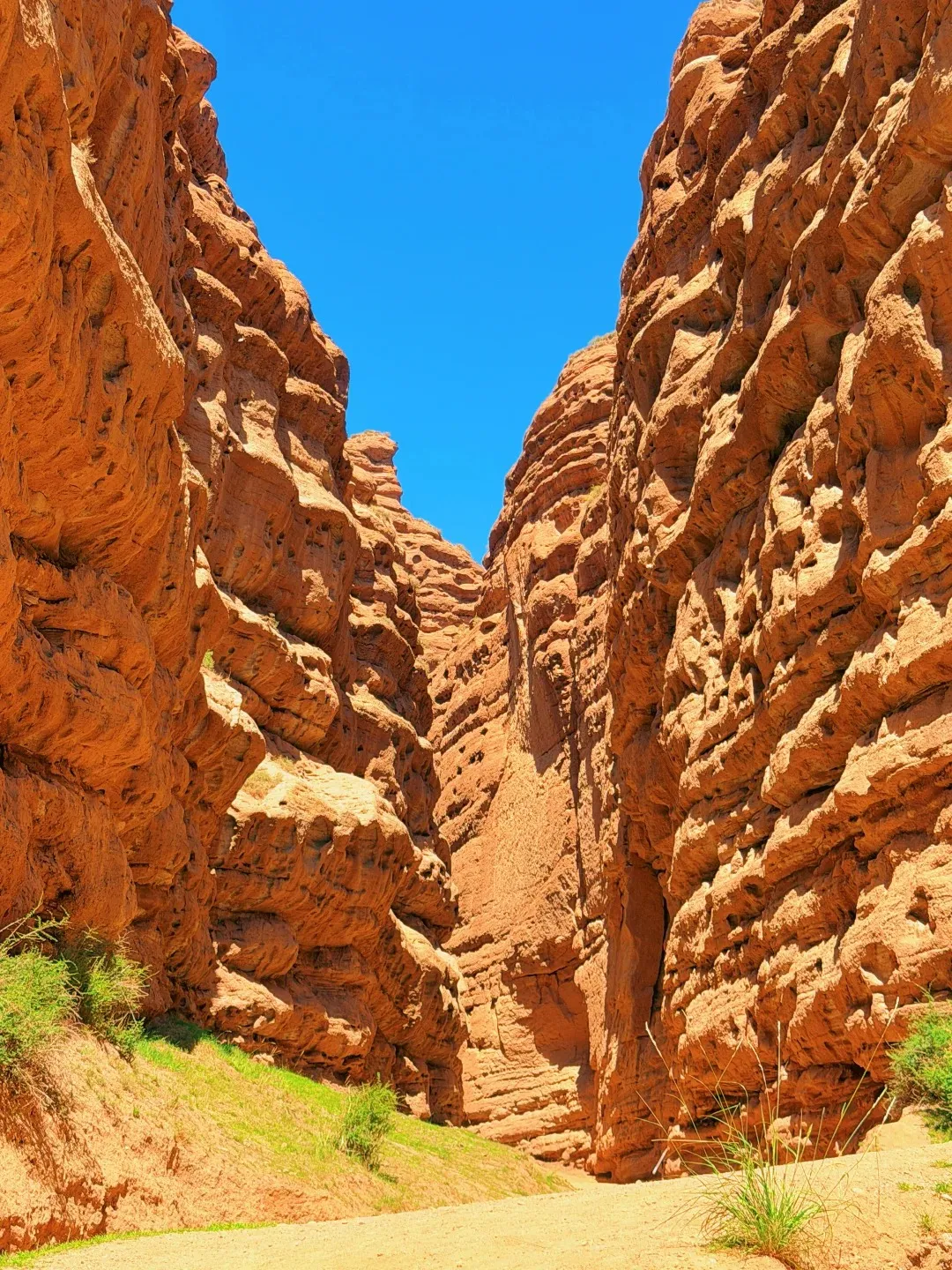 A narrow desert canyon with tall red sandstone cliffs, a sandy path, small patches of green grass, and a bright blue sky overhead.