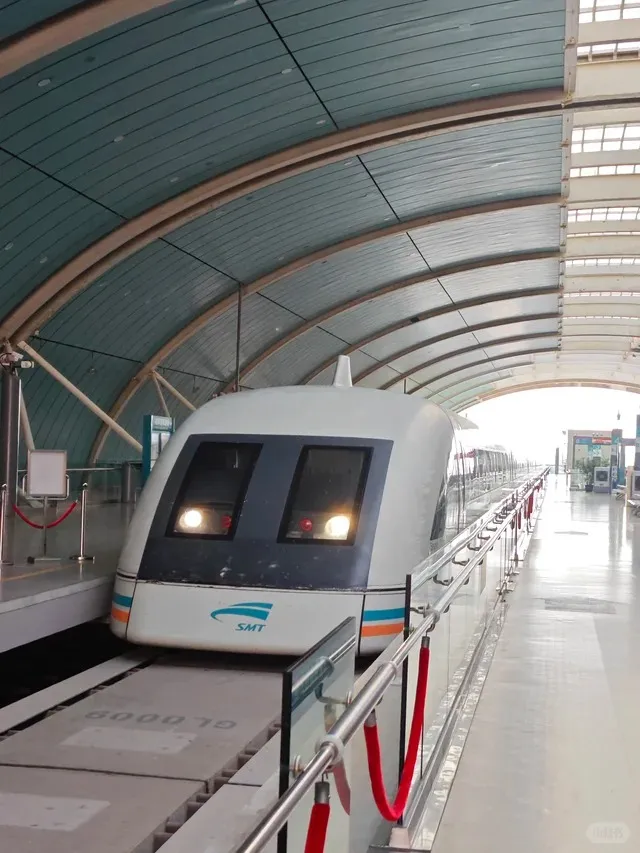 A sleek white Shanghai Maglev train with blue and orange stripes along its side, stopped at a station platform. The train has two large dark windows at the front, with headlights illuminated. The station has a modern, arched ceiling with green panels and exposed beams. A metal railing with red velvet ropes separates the platform from the train track.