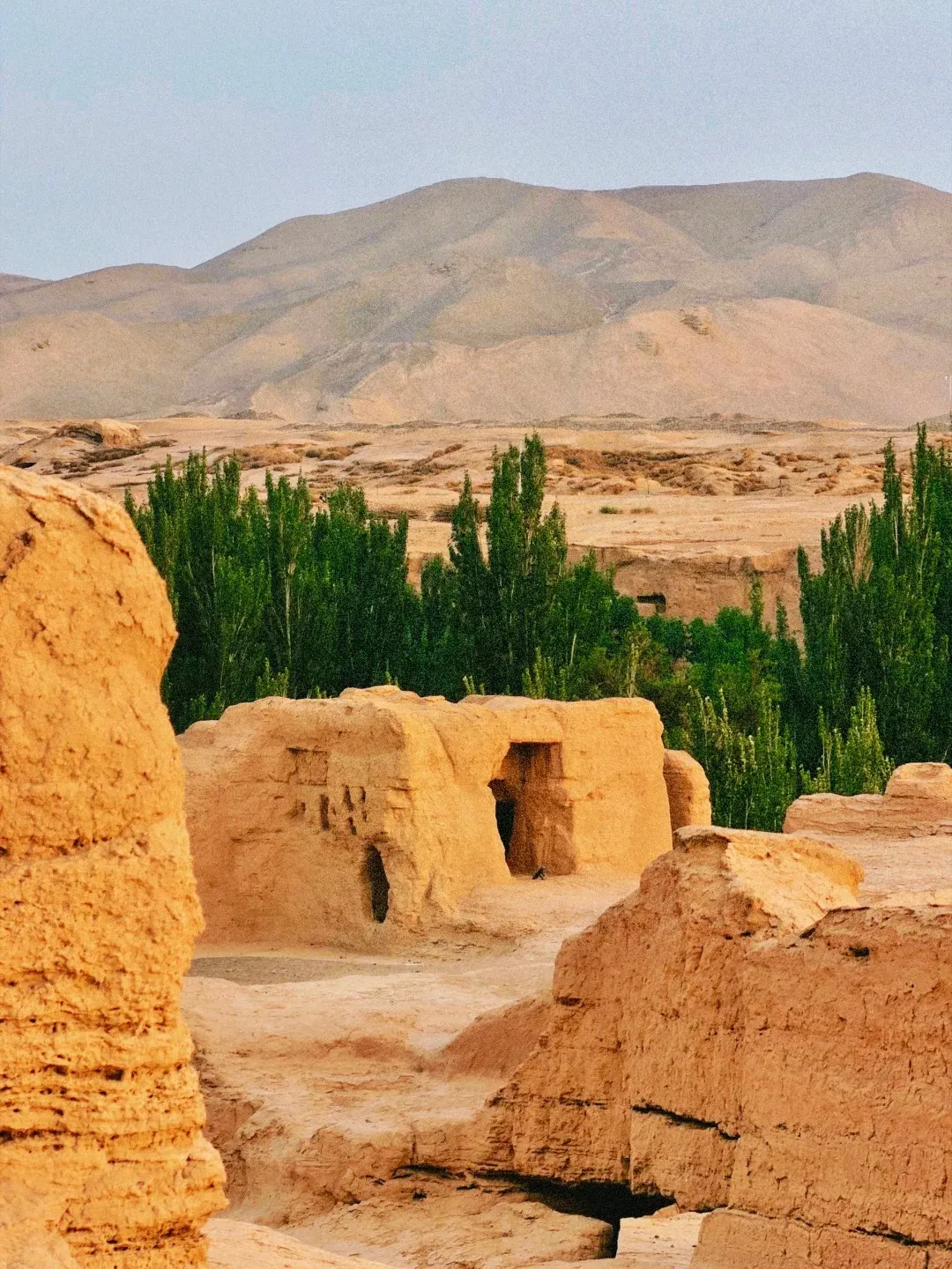 Eroded, sun-baked adobe ruins of an ancient city with arched doorways and small openings. Tall, green trees form a line behind the ruins, and in the distance, sandy, rolling mountains rise under a pale blue sky.