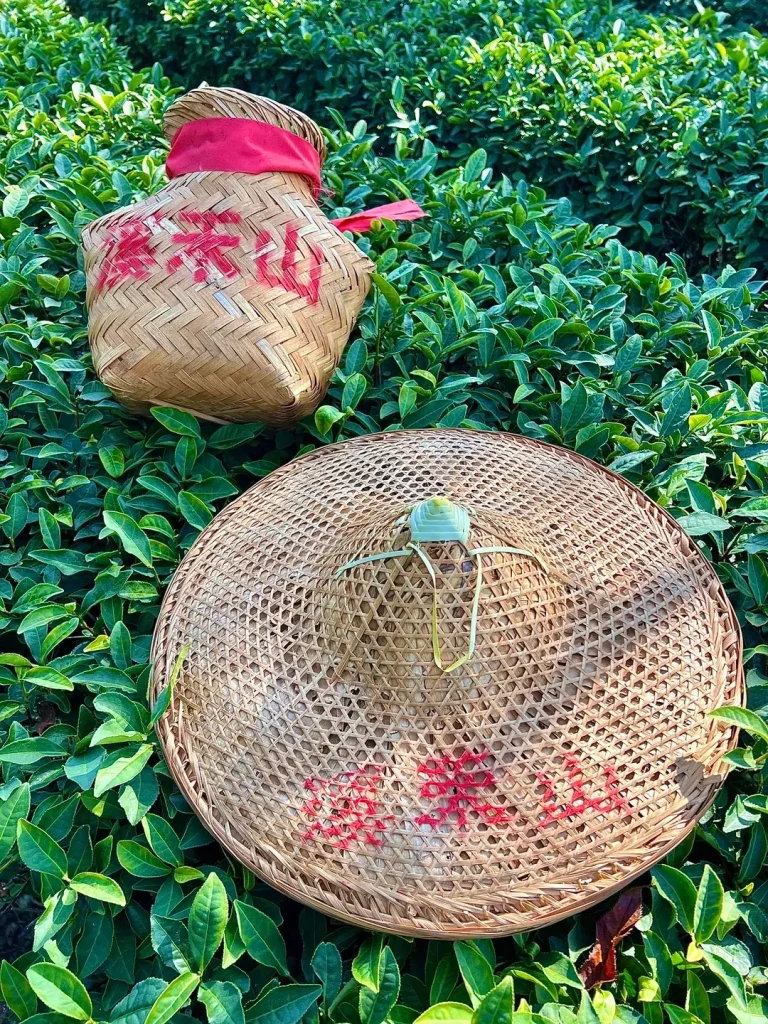 Two woven bamboo baskets with red cloth bands resting on dense green tea bushes.