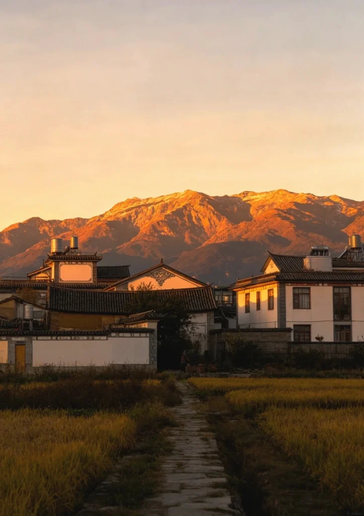 A stone pathway leads through a field of golden grass towards traditional Bai architecture with tiled roofs. Snow-capped mountains bathed in warm sunset light rise in the background.